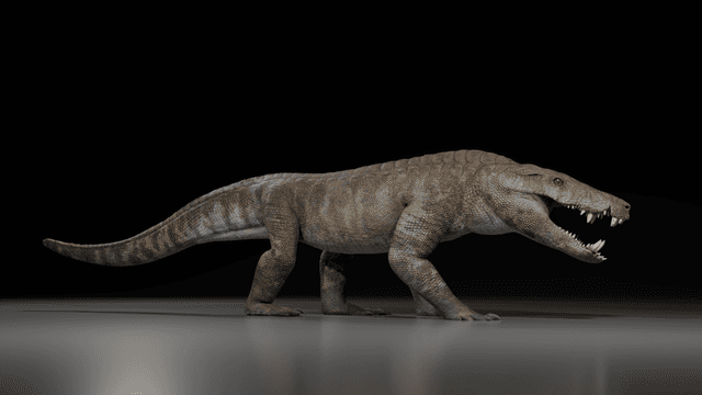 70 million-year-old hypercarnivore that ate dinosaurs named after Egyptian god - Live Science