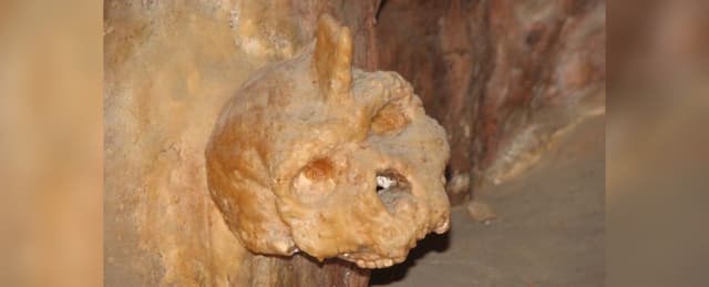 Mysterious Skull Fused to Cave Wall Could Belong to a Rare Human Species - ScienceAlert